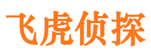 祁阳市侦探调查公司